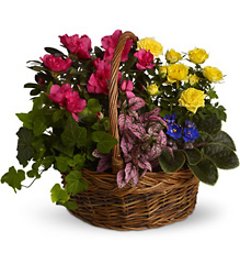 Blooming Garden Basket from Maplehurst Florist, local flower shop in Essex Junction